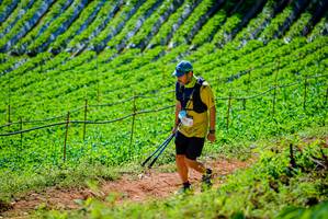 BIB: 
                            <button type="button" onclick="openModal(19163462)" class="btn btn-primary btn-sm float-right btn-popup" data-toggle="modal" data-target=".modal-high-quality">
                        <i class="fas fa-shopping-cart"></i> Add to Cart
                    </button>
                                            <button type="button" onclick="isThisMe(19163462, true)" class="btn btn-success btn-sm float-right btn-popup btn-isme hidden" data-toggle="tooltip" data-placement="bottom" title="นี่คือรูปของคุณใช่ไหม คลิกที่นี่เพื่อเอาเข้าอัลบั้ม">
                        <i class="fas fa-plus"></i> Add to album
                    </button>
                    <button type="button" onclick="isThisMe(19163462, false)" class="btn btn-warning btn-sm float-right btn-popup btn-isnotme hidden">
                        <i class="fas fa-ban"></i> Remove from album
                    </button>